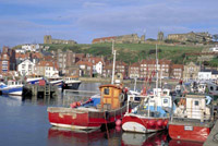 Visit the quaint fishing village of Whitby