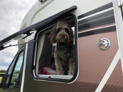 Tips for caravanning and motorhoming with pets thumbnail