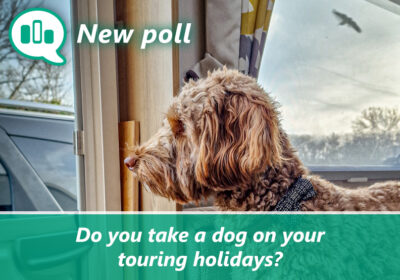 Poll: Do you take a dog on your touring holidays? thumbnail